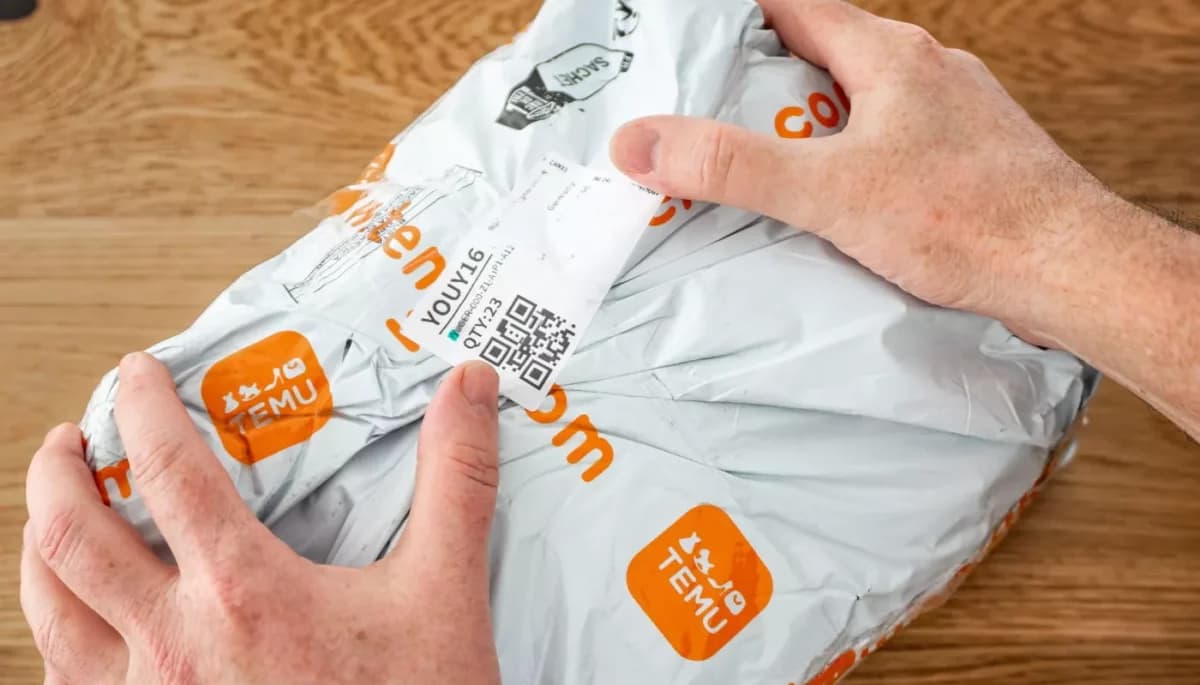 Dicas de segurança ao seguir recomendações de compras no Temu